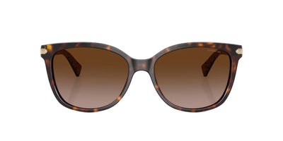 Coach HC8132-Sunglasses-Topline Eyewear