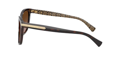 Coach HC8132-Sunglasses-Topline Eyewear