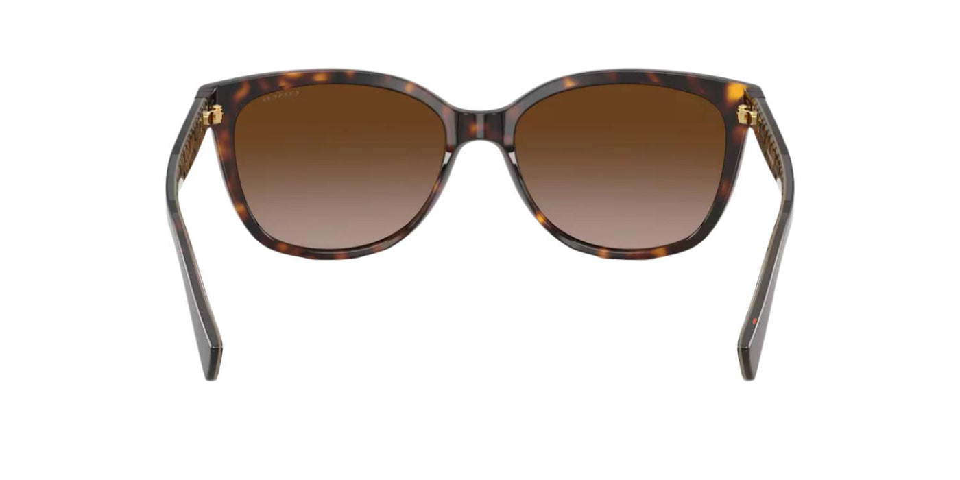 Coach HC8132-Sunglasses-Topline Eyewear