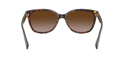 Coach HC8132-Sunglasses-Topline Eyewear