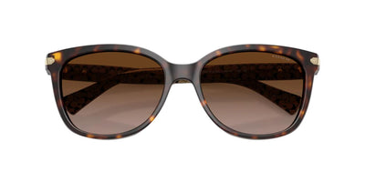 Coach HC8132-Sunglasses-Topline Eyewear