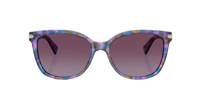 Coach HC8132-Sunglasses-Topline Eyewear