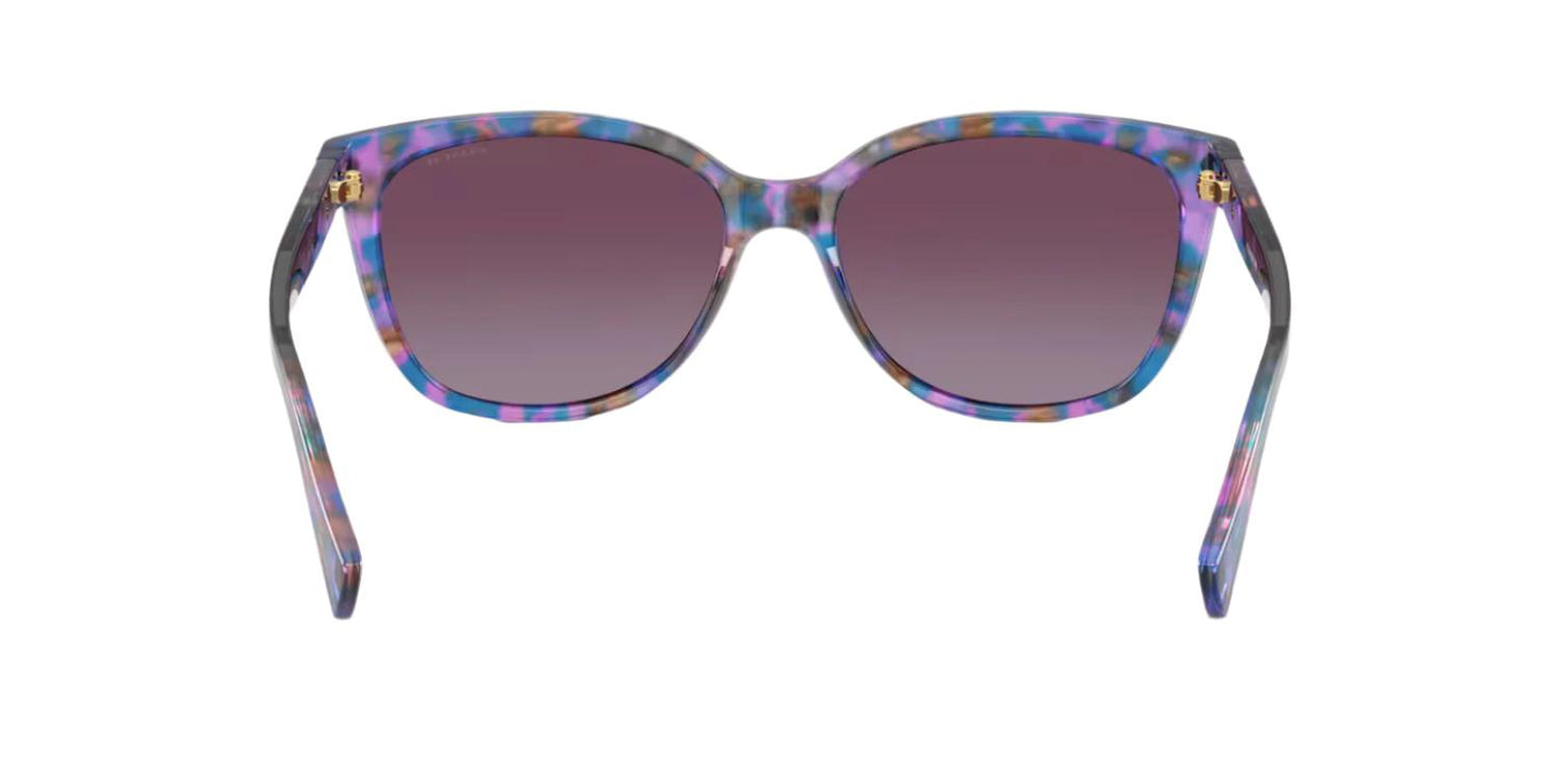 Coach HC8132-Sunglasses-Topline Eyewear