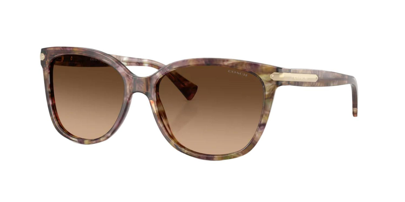 Coach HC8132-Sunglasses-Topline Eyewear