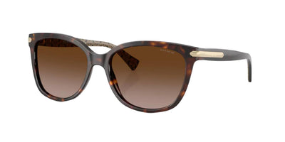 Coach HC8132-Sunglasses-Dark Tortoise-Brown Gradient-