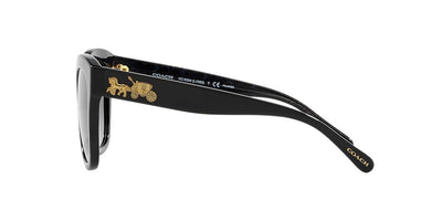 Coach HC8264-Sunglasses-Topline Eyewear