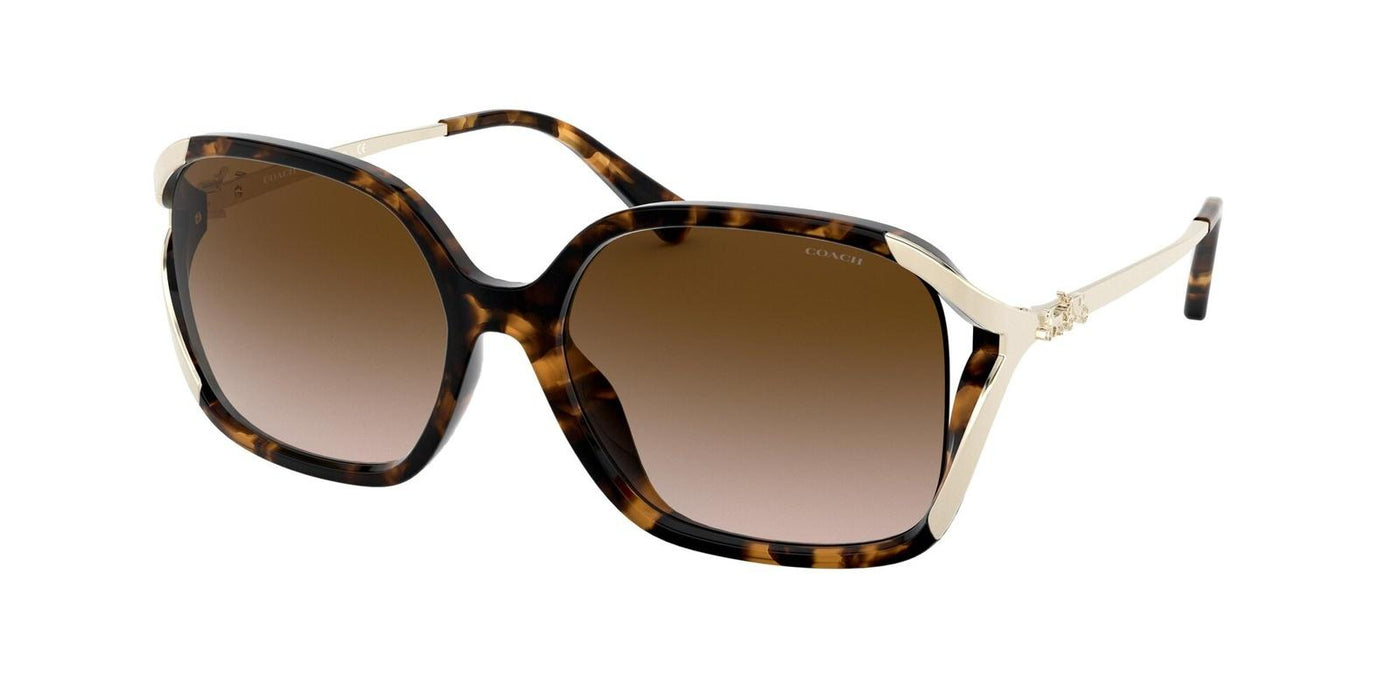 Coach HC8280U-Sunglasses-Dark Tortoise-Brown Gradient-