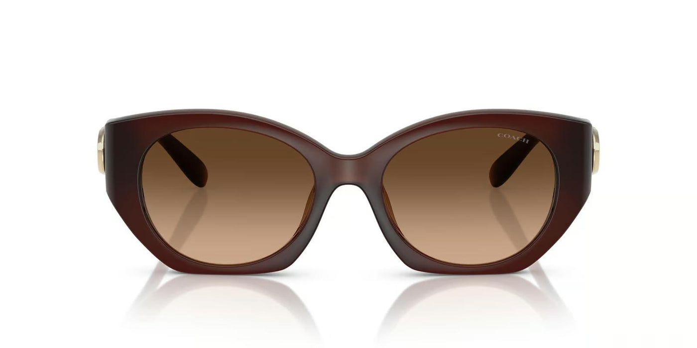 Coach HC8407U-Sunglasses-Topline Eyewear