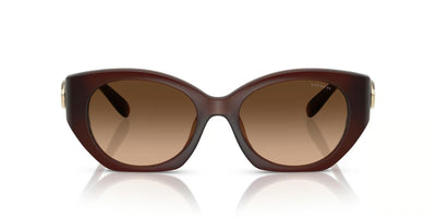 Coach HC8407U-Sunglasses-Topline Eyewear