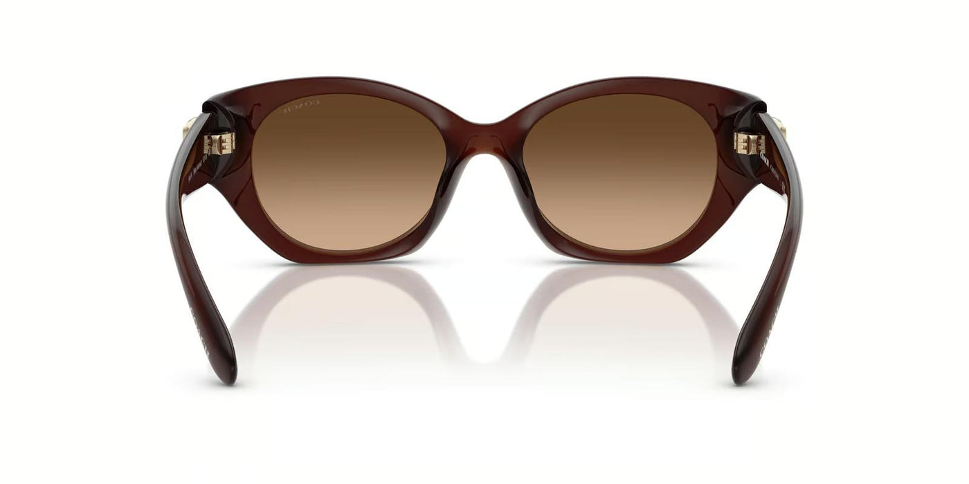 Coach HC8407U-Sunglasses-Topline Eyewear