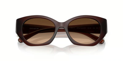 Coach HC8407U-Sunglasses-Topline Eyewear