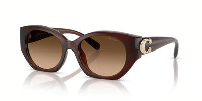 Coach HC8407U-Sunglasses-Milky Hazelnut-Brown Gradient-
