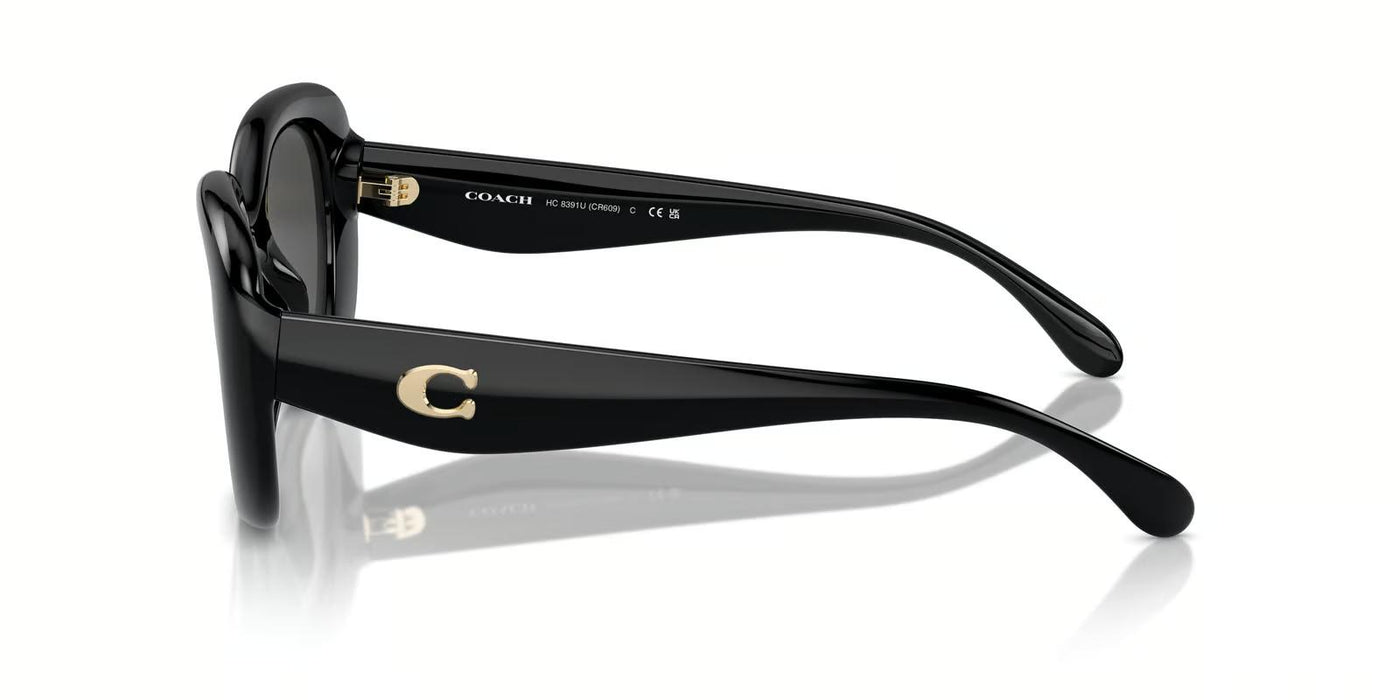 Coach OHC8391U-Sunglasses-Topline Eyewear