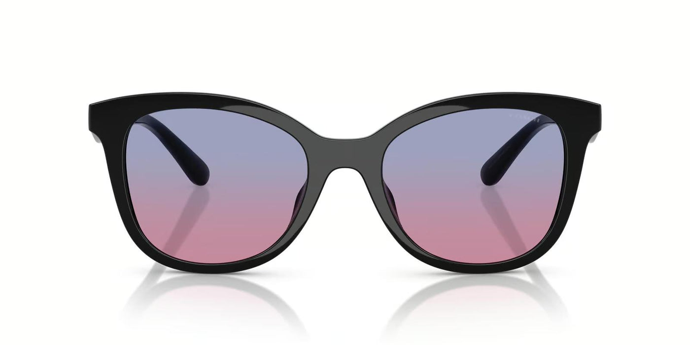Coach OHC8419U-Sunglasses-