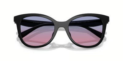 Coach OHC8419U-Sunglasses-