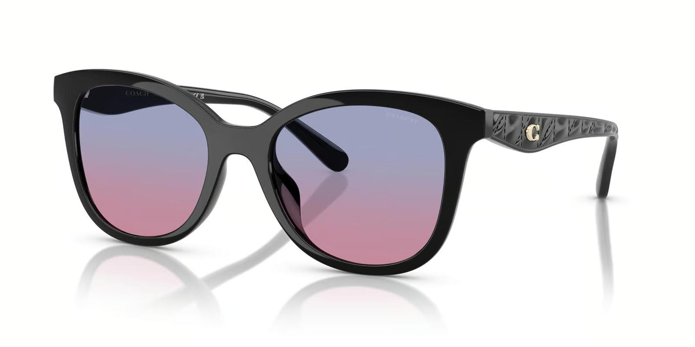 Coach OHC8419U-Sunglasses-Black-Blue Purple Gradient-