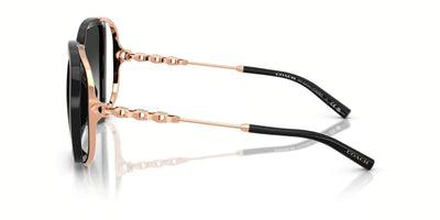 Coach OHC8423U-Sunglasses-