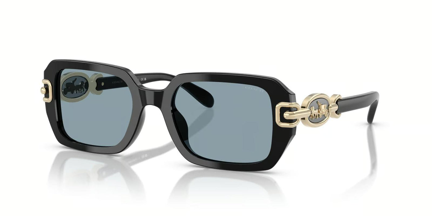 Coach OHC8425U-General-Black-Blue-