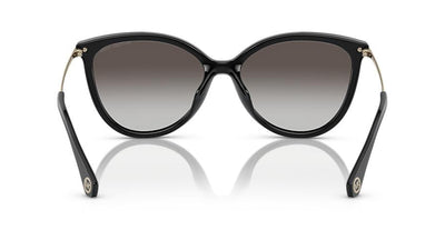 Michael Kors MK2184U-Sunglasses-