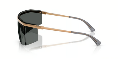 Michael Kors Palisades MK1169-Sunglasses-