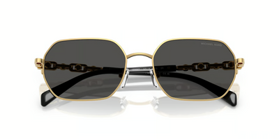 Michael Kors Saint Martin MK1165-Sunglasses-