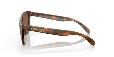 Oakley Frogskins OO9013-Sunglasses-Topline Eyewear