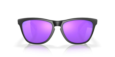 Oakley Frogskins OO9013-Sunglasses-Topline Eyewear