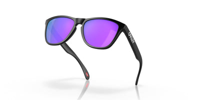 Oakley Frogskins OO9013-Sunglasses-Topline Eyewear