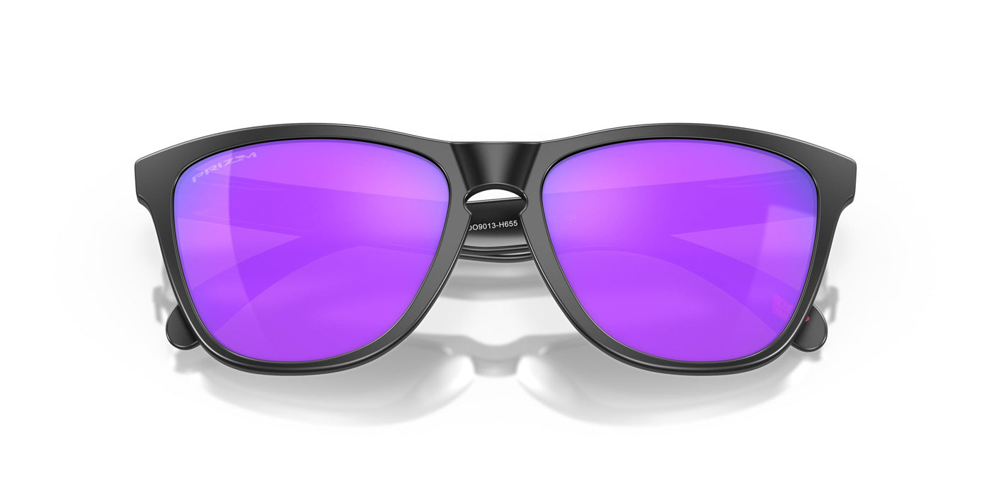 Oakley Frogskins OO9013-Sunglasses-Topline Eyewear