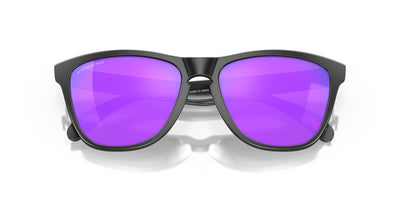 Oakley Frogskins OO9013-Sunglasses-Topline Eyewear