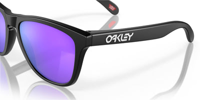 Oakley Frogskins OO9013-Sunglasses-Topline Eyewear
