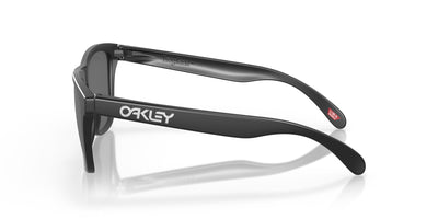 Oakley Frogskins OO9013-Sunglasses-Topline Eyewear