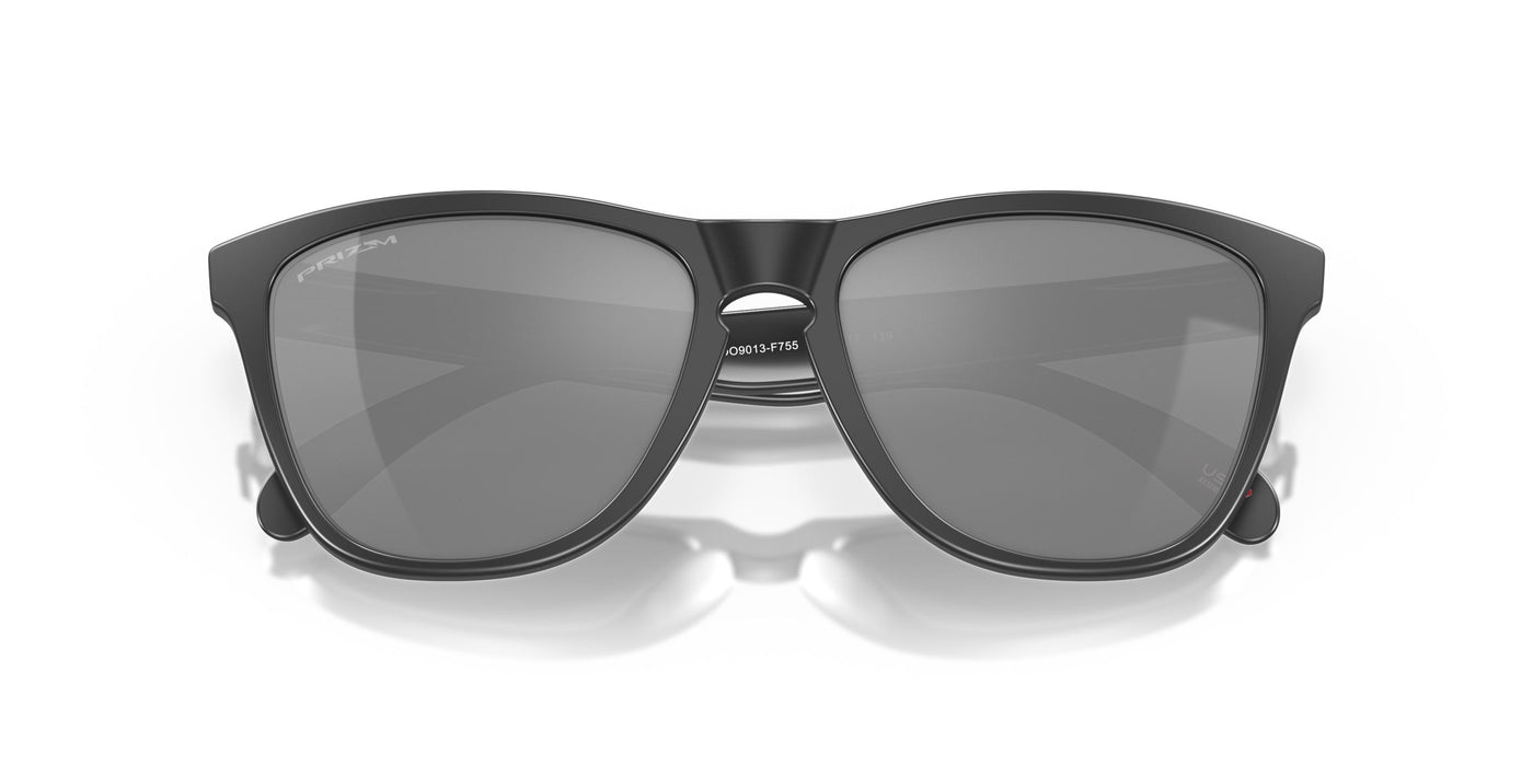 Oakley Frogskins OO9013-Sunglasses-Topline Eyewear