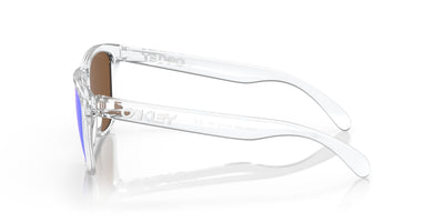 Oakley Frogskins OO9013-Sunglasses-Topline Eyewear