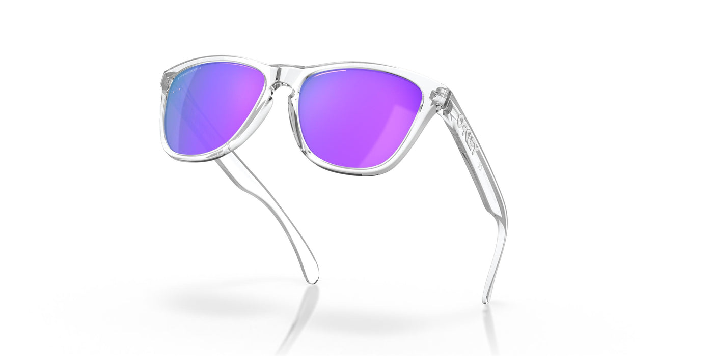 Oakley Frogskins OO9013-Sunglasses-Topline Eyewear