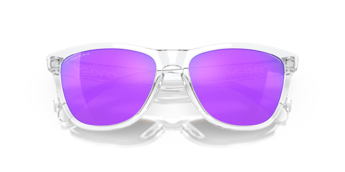 Oakley Frogskins OO9013-Sunglasses-Topline Eyewear