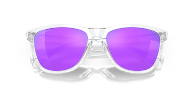 Oakley Frogskins OO9013-Sunglasses-Topline Eyewear