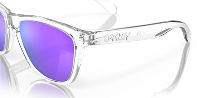 Oakley Frogskins OO9013-Sunglasses-Topline Eyewear