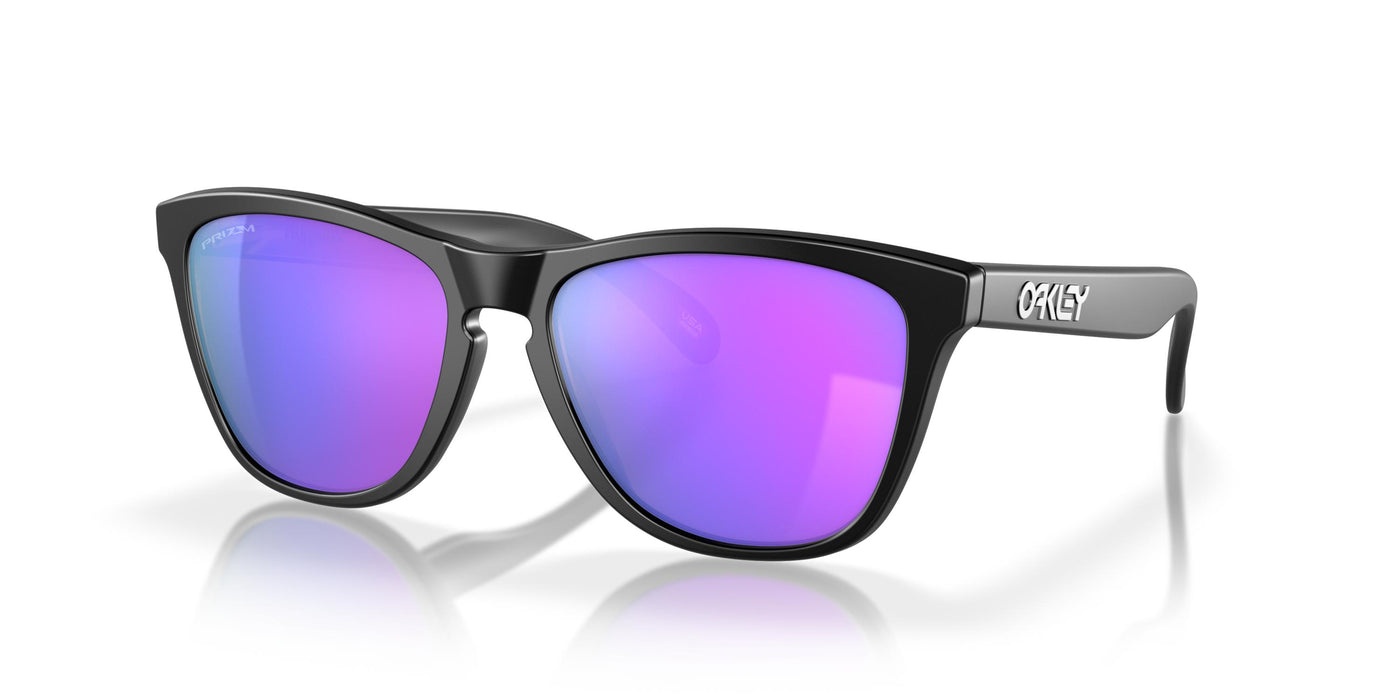 Oakley Frogskins OO9013-Sunglasses-Topline Eyewear