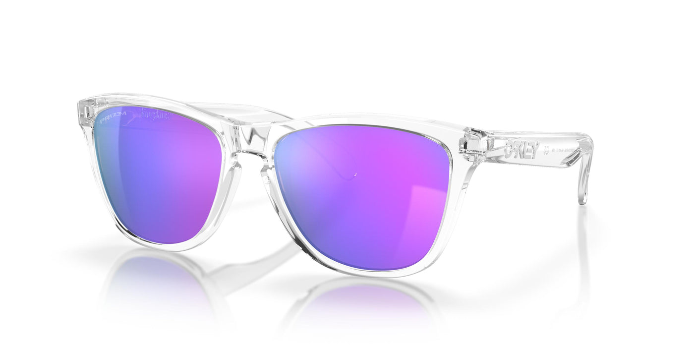 Oakley Frogskins OO9013-Sunglasses-Topline Eyewear