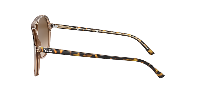 Ray-Ban Bill RB2198-Sunglasses-Topline Eyewear