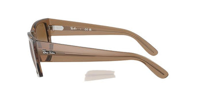 Ray-Ban Carrigan RB4397-Sunglasses-