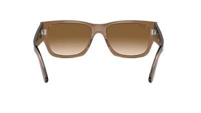Ray-Ban Carrigan RB4397-Sunglasses-