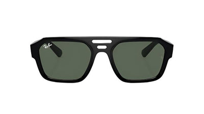 Ray-Ban Carrigan RB4397-Sunglasses-