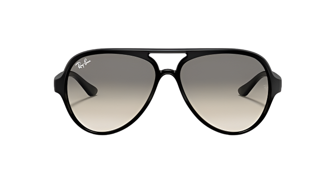 Ray-Ban Cats 5000 RB4125-Sunglasses-Topline Eyewear