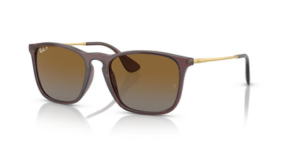 Ray-Ban Chris RB4187-Sunglasses-Topline Eyewear