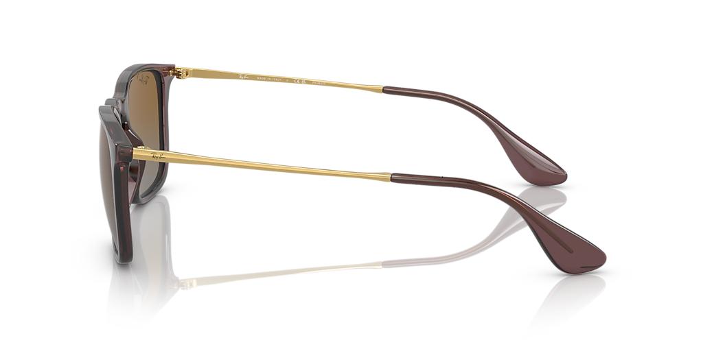 Ray-Ban Chris RB4187-Sunglasses-Topline Eyewear