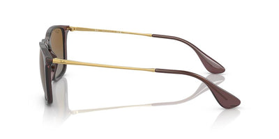 Ray-Ban Chris RB4187-Sunglasses-Topline Eyewear