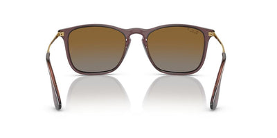 Ray-Ban Chris RB4187-Sunglasses-Topline Eyewear