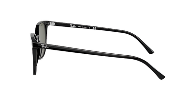 Ray-Ban Elliot RB2197-Sunglasses-Topline Eyewear